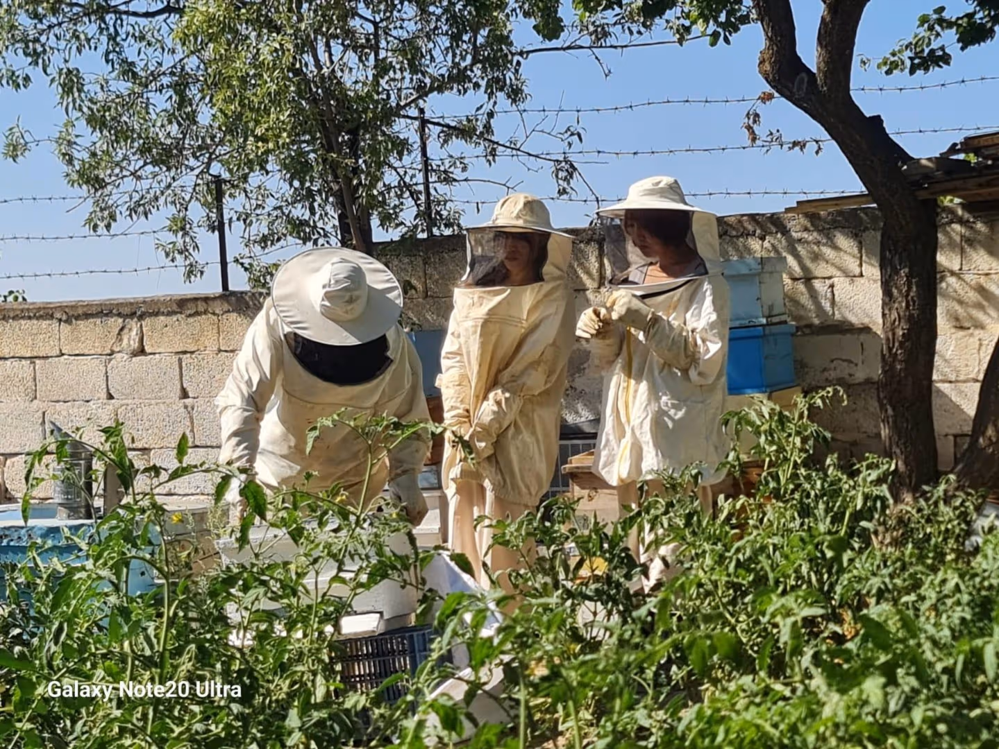 Cappadocia Honey Harvest Experience – Explore Beekeeping & Taste Organic Local Flavors - Image 13