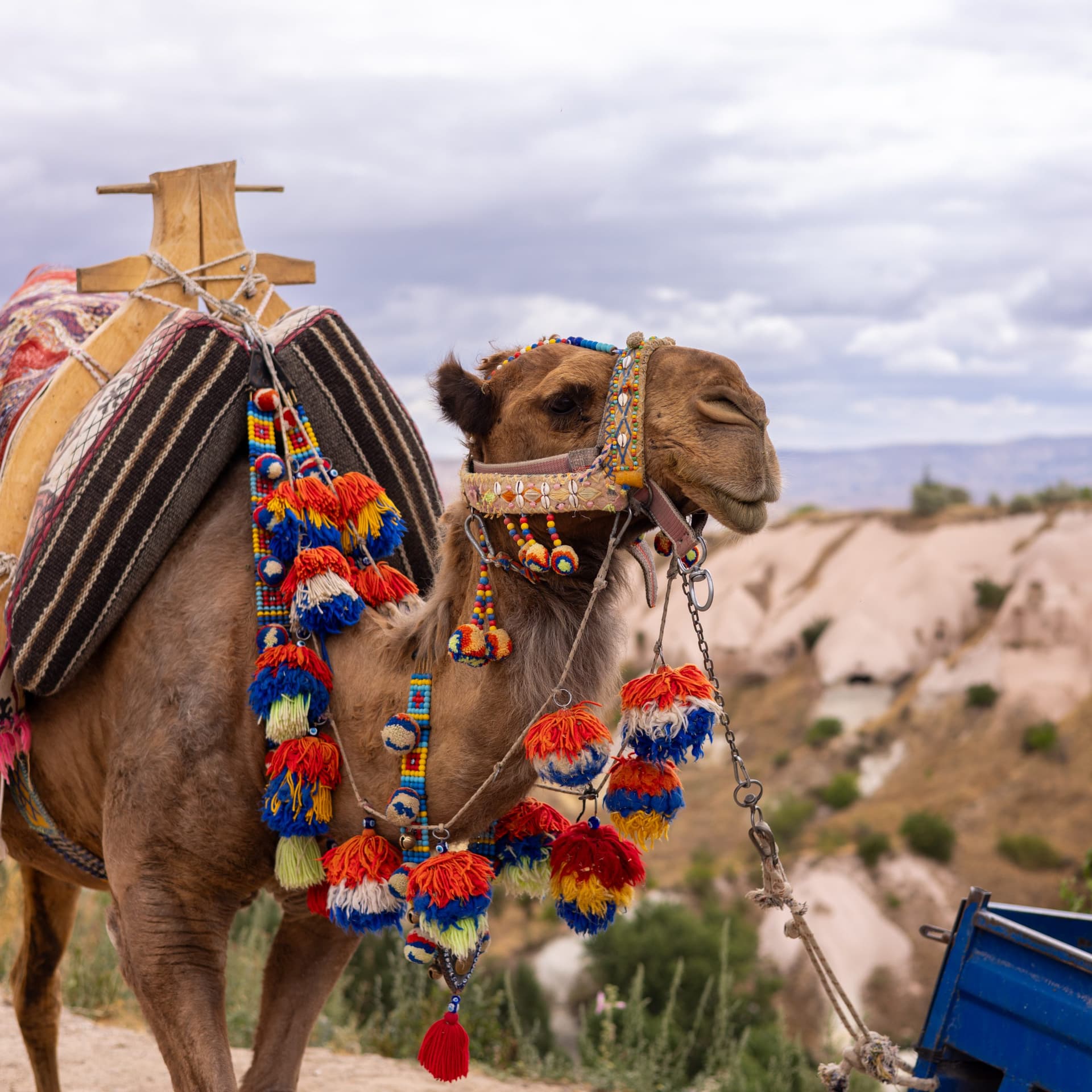 Cappadocia Green Tour - Image 2