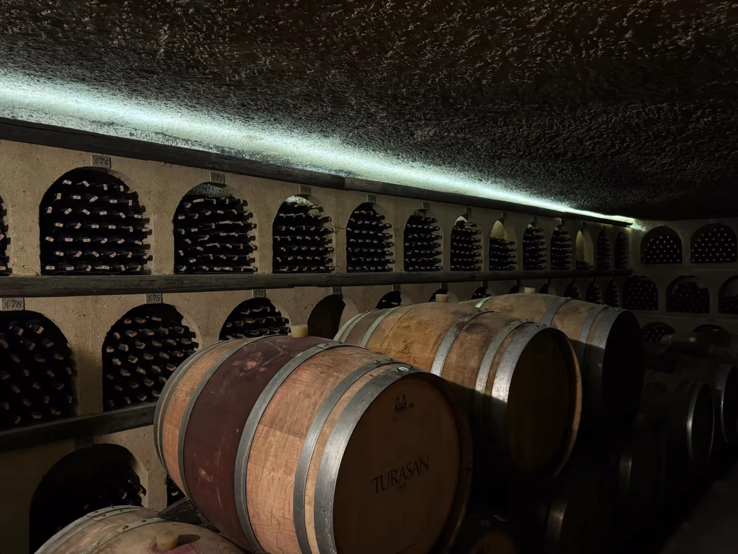 Kapadokya Özel Şarap Tadım Turu – Seçkin Şaraplar & Gurme Lezzetlerle 3 Saat - Görsel 6