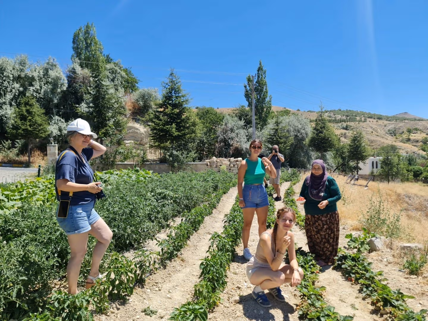 Cappadocia Honey Harvest Experience – Explore Beekeeping & Taste Organic Local Flavors - Image 4