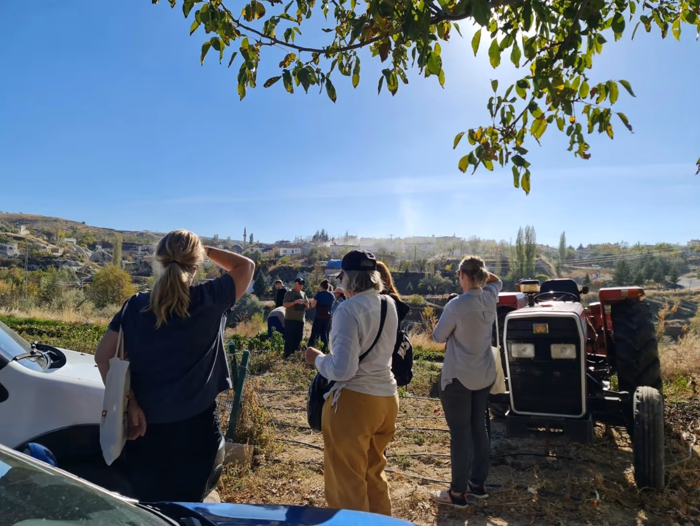 Cappadocia Honey Harvest Experience – Explore Beekeeping & Taste Organic Local Flavors - Image 3